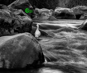 Die opwinding van waterfotografie