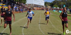 Drie Sharkies, Marco Vermeulen, Ulrich Visagie en Malin Abrahams span al hul kragte in tydens die 100m item vir seuns o/15. 