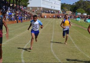 Sharkies bring beker huis toe