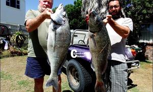 Pa en seun vang knewels