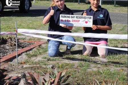 Twee meisies van die Generation School Hermanus,  Theresa-Belle Boothway en Charlotte Westerhout, was baie beïndruk met Overstrand Munisipaliteit se afbakening van ‘n dikkoppie broeipaar se nes met verkeerslinte agter die hofgebou. Hulle het in samewerking met die munisipaliteit ‘n spesiale padteken daar laat aanbring: “Parking Bay Reserved for Mr & Mrs Dikkop”!