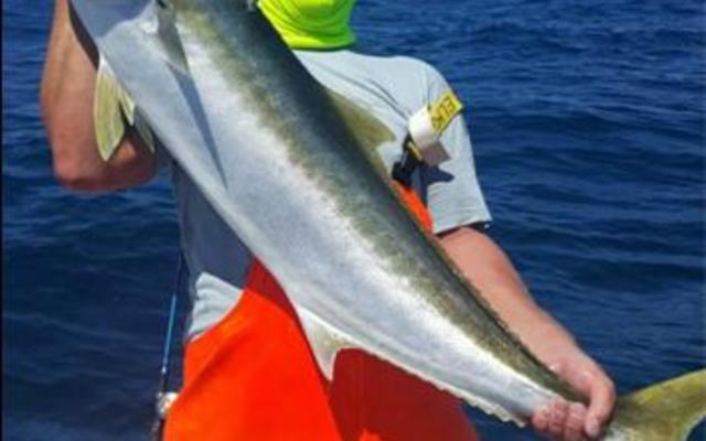 Die nuwe rekord van 13.99kg vir ‘n geelstert is deur Tim Twine tydens die Suidlig boothengelkompetisie te Struisbaai ingepalm.