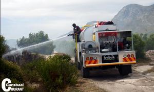 Wenkbroue lig oor veldbrande