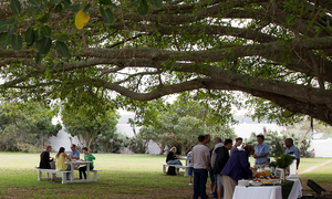 Say YES to Family time this Easter at De Hoop!