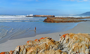 Hermanus through the eyes of Locals