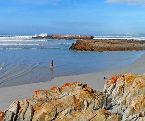 Hermanus through the eyes of Locals