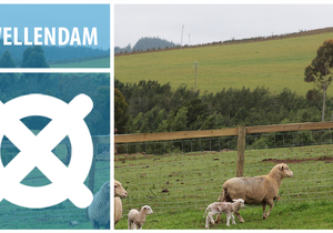 Swellendam - Home of Heritage and Natural Beauty