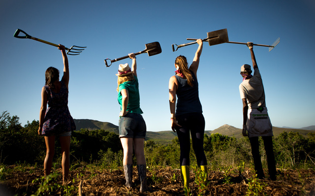 Join the TREEvolution! Join the TREEvolution!