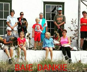 BARC-honde word bederf