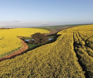 RiviersonderEnd hosts End in X Events