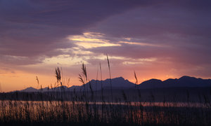 Greyton through the eyes of Locals – Photo Journey