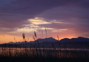 Greyton through the eyes of Locals – Photo Journey