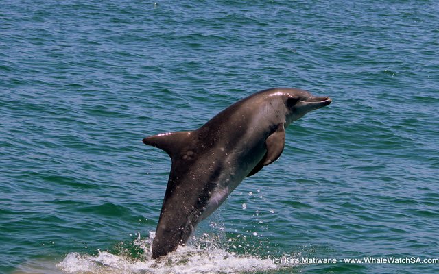 20131122_WW_Trip2_KMatiwane_IMG_0186