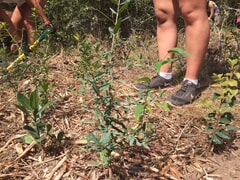 Mind, Body, Soul and Conservation at Platbos