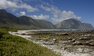 Bed & Breakfasts in Betty’s Bay