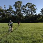 Patatfees Footage 2016 Patatfees Footage 2016