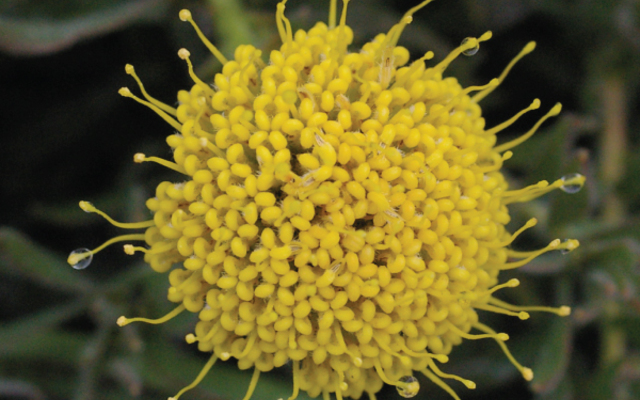 picraw2224Thumbnail_1