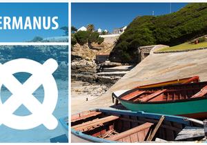 Hermanus – A Whale Watching Mecca