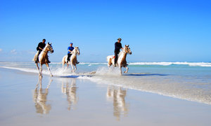 Exciting Outdoor Adventures in L'Agulhas & Struisbaai
