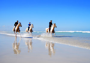 Exciting Outdoor Adventures in L'Agulhas & Struisbaai