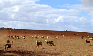 Country Stays in Napier