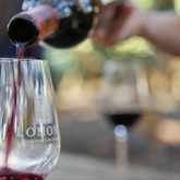 Lomond Wine Tasting Under Milkwood Canopy