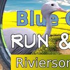 Blue Crane Run and Ride