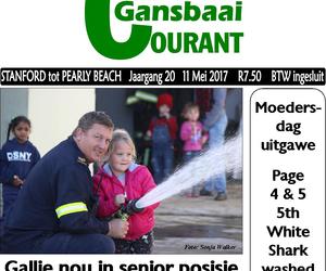 Gallie nou in senior posisie