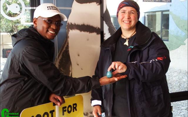 Meredith Thornton van Dyer Eiland Bewaringstrust oorhandig die tradisionele Afrika pikkewyneier aan Siya Mafunda van die Boulders Pikkewynkolonie by Simonstad. Die seremonie dien as “Hoop vir die Afrika pikkewyn”.