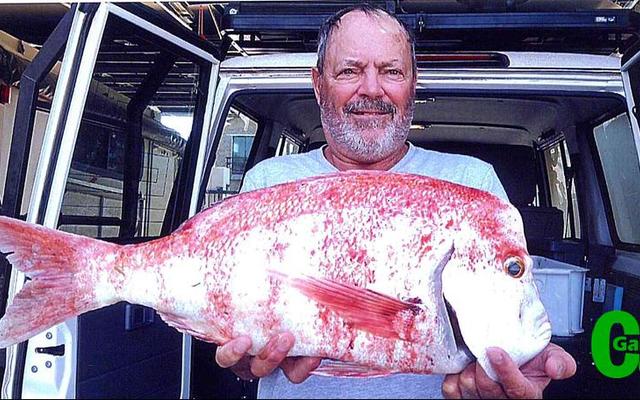Rikus de Wet van Franskraal, ‘n lid van die Birkenhead Boothengelklub, kon ‘n week gelede spog met ‘n allemintige rooistomp van 3.8kg. Hy het die vis vanaf Jean Downing, wedstrydsekretaris van die klub, se boot, Releks 2 met sardyn gevang. Jammer dit was nie ‘n klubkompetisie nie, Rikus, dan sou jy “voor in die koor” gewees het!
