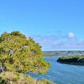 De Hoop Collection - Nature & Marine Reserve 