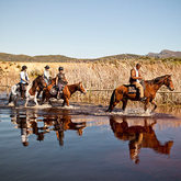 African Horse Company