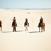 African Horse Company