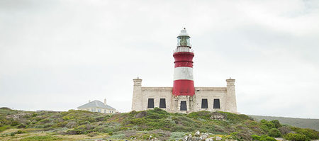 african_horse_company7