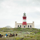 African Horse Company Part 4 African Horse Company Part 4