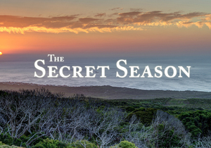 Introduction to Grootbos Secret Season (May to July)
