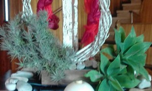 Pinkster 2017: Ek gaan kerk toe namens ander 