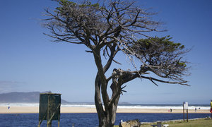 Upcoming Events & Specials in Kleinmond