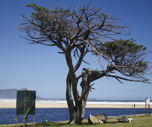 Upcoming Events & Specials in Kleinmond