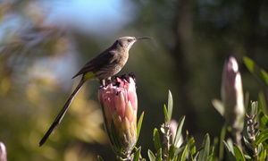 Upcoming Events & Specials in Caledon