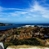 Bellamente: Stanford Bay