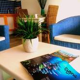 Bellamente: Room Cyprus