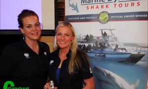 White shark biologist's overview on orca sightings