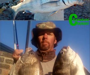 Twee uitstekende hengeldae