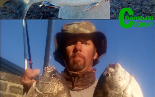 Trevor Gumbrill van Pearly Beach het twee dae na mekaar ‘n paar mooi visse uitgetrek.  Bo spog hy met ‘n steenbras van 9.5kg wat hy Vrydag, 26 Mei gevang het en Saterdag het hy die twee mooi galjoene met lengtes van onderskeidelik 53cm en 51cm ingekatrol.