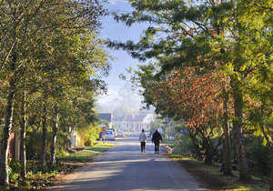 5 Spots to Visit in Greyton