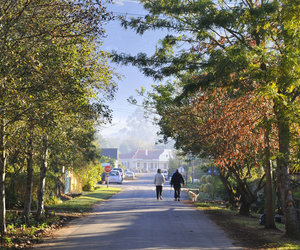 5 Spots to Visit in Greyton