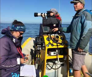 Researchers collaborate on an exciting marine project