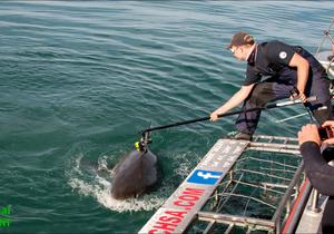 International research team work with DICT