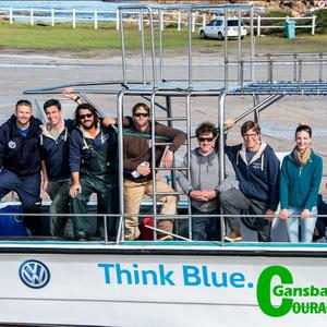 The combined research teams of Dyer Island Conservation Trust and Marine Dynamics. From left Oliver Jewell, Presley Adamson, Dr Adrian Gleiss, Dr Taylor Chappell, Paul Kanive, Dr Salvador Jorgenson, Michelle Jewell and Ed Edwards.